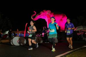 BIB: 
                            <button type="button" onclick="openModal(26544122)" class="btn btn-primary btn-sm float-right btn-popup" data-toggle="modal" data-target=".modal-high-quality">
                        <i class="fas fa-shopping-cart"></i> Add to Cart
                    </button>
                                            <button type="button" onclick="isThisMe(26544122, true)" class="btn btn-success btn-sm float-right btn-popup btn-isme hidden" data-toggle="tooltip" data-placement="bottom" title="นี่คือรูปของคุณใช่ไหม คลิกที่นี่เพื่อเอาเข้าอัลบั้ม">
                        <i class="fas fa-plus"></i> Add to album
                    </button>
                    <button type="button" onclick="isThisMe(26544122, false)" class="btn btn-warning btn-sm float-right btn-popup btn-isnotme hidden">
                        <i class="fas fa-ban"></i> Remove from album
                    </button>